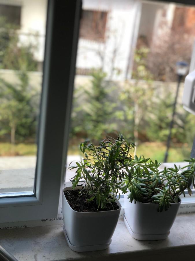 Jon'S Duplex Daire Tiran Dış mekan fotoğraf